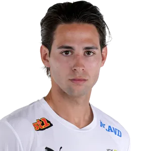 Viktor Widlund